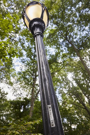 Reportage : le secret des lampadaires de Central Park