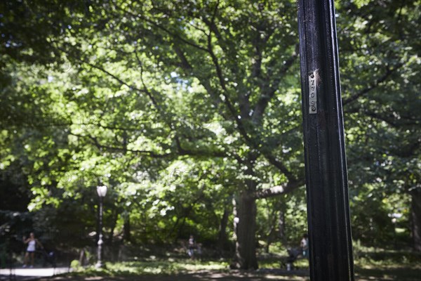 Reportage : le secret des lampadaires de Central Park