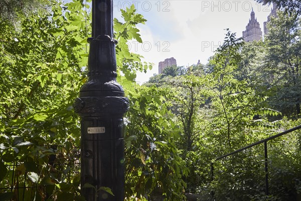 Feature: the mysterious numbers on Central Park street lamps