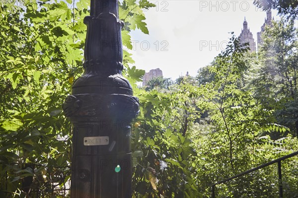 Reportage : le secret des lampadaires de Central Park