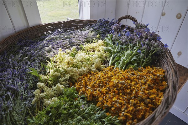 Tata Harper Vermont Farm