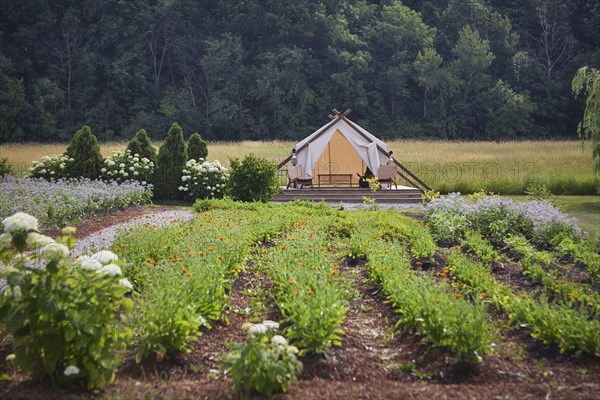 Tata Harper Vermont Farm