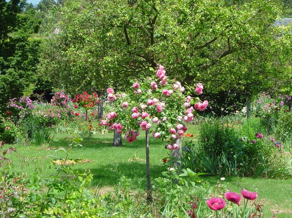 Maison de Claude Monet à Giverny
