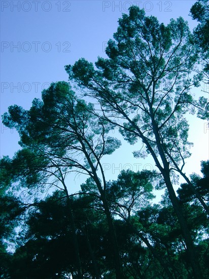 Provence