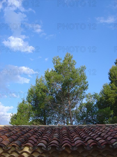Provence