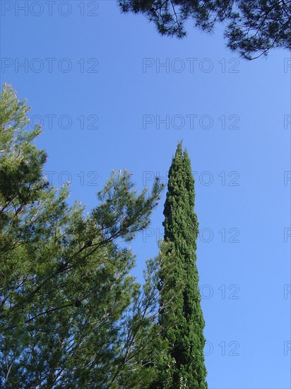 Provence