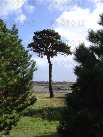 Bretagne, Côte de granit rose