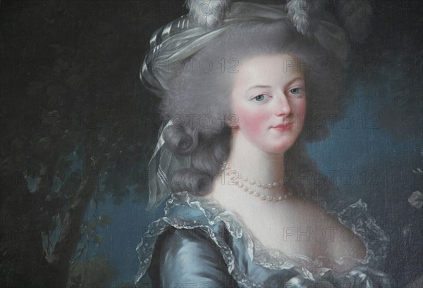 Versailles083 Château de Versailles, Petit Trianon, détail du portrait de Marie-Antoinette à la rose (1784), tableau d'Elisabeth-Louise Vigée-Le Brun (1755-1842)