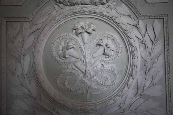 Versailles107 Château de Versailles, Petit Trianon, boiseries sculptées de fleurs, médaillon et fleurs de lys