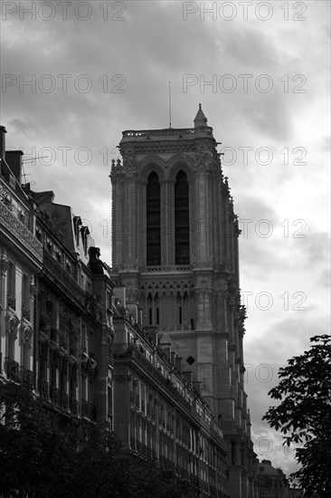 Paris 103 Tours de la Cathédrale Notre Dame de Paris le soir, vue latérale
