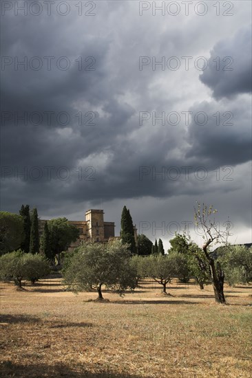 Provence379 Provence, Luberon, Lourmarin, château, oliviers, oliveraie, été ciel d'orage