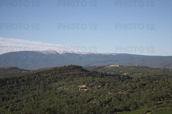 Provence452 Provence, collines provencales, Mont Ventoux, face sud, été