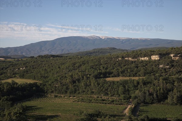 Provence454 Provence, collines provencales, Mont Ventoux, face sud, été