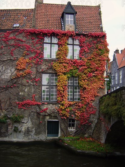 Bruges. Maison au bord du canal en automne, vigne vierge