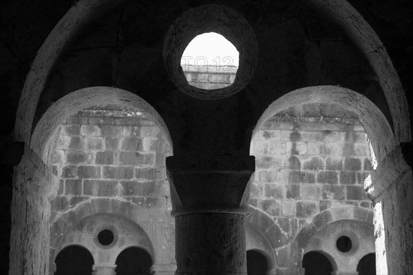 Provence807 Abbaye du Thoronet, le cloître : arcades géminées, oculus et chapiteaux