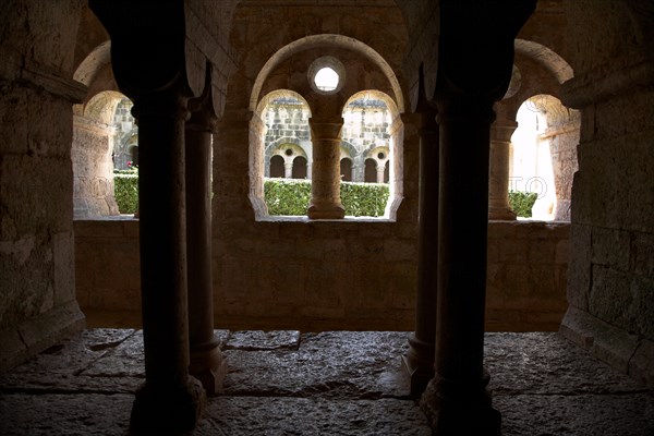 Provence808 Abbaye du Thoronet, le cloître vu depuis la salle capitulaire : arcades géminées, oculus et chapiteaux, vue sur le jardin du cloître