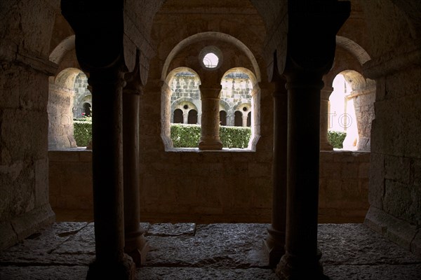Provence809 Abbaye du Thoronet, le cloître vu depuis la salle capitulaire : arcades géminées, oculus et chapiteaux, vue sur le jardin du cloître