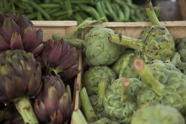 Provence746 Marché de Provence, artichauts