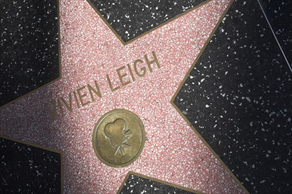 Hollywood Boulevard, Walk of Fame, stars / étoiles : Vivien Leigh