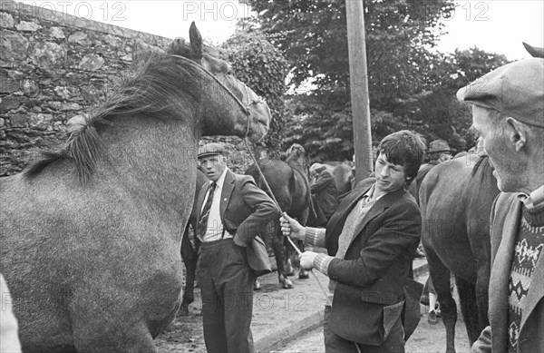 Foire aux chevaux, Irlande