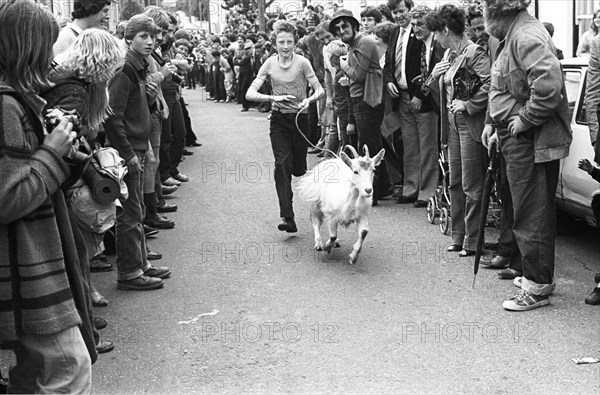 Puck Fair in Ireland