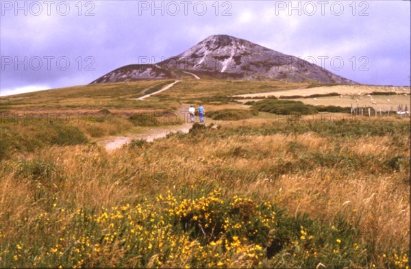 Great Sugar Loaf, Irlande