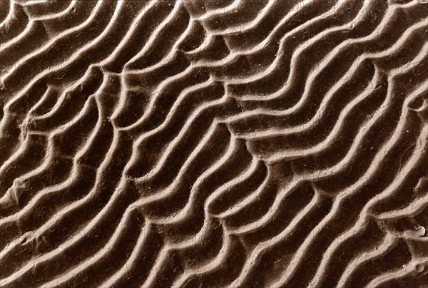 Rides dans le sable