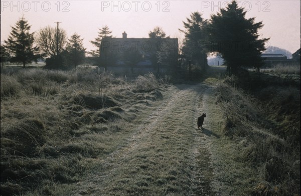 Matin d'hiver en Irlande