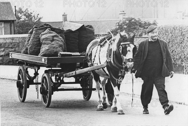 Livraison de charbon, 1978