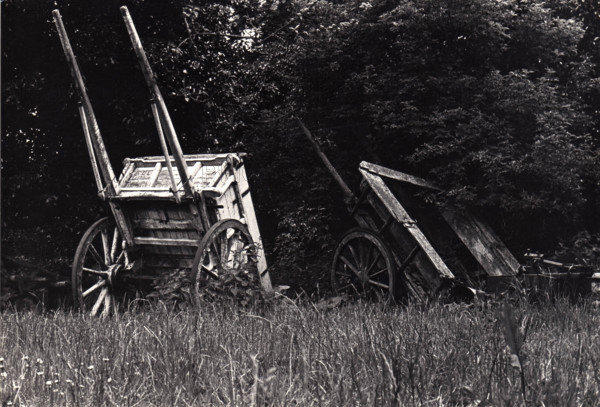 Chariots agricoles, Irlande