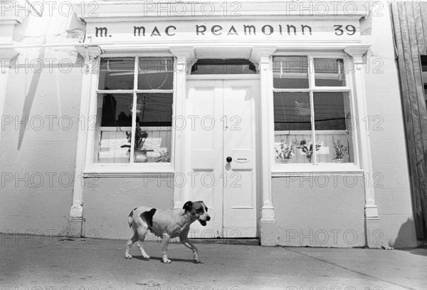 Gorey, County Wexford