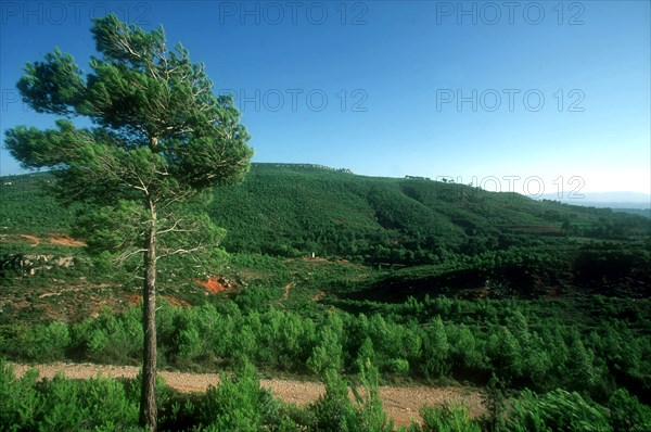 Montagne Sainte-Victoire