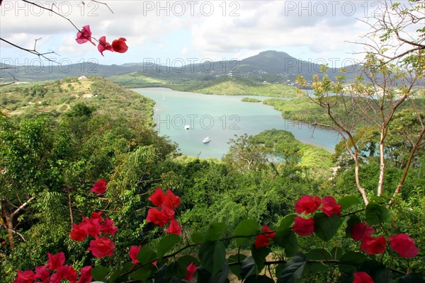 Paysage de Martinique
