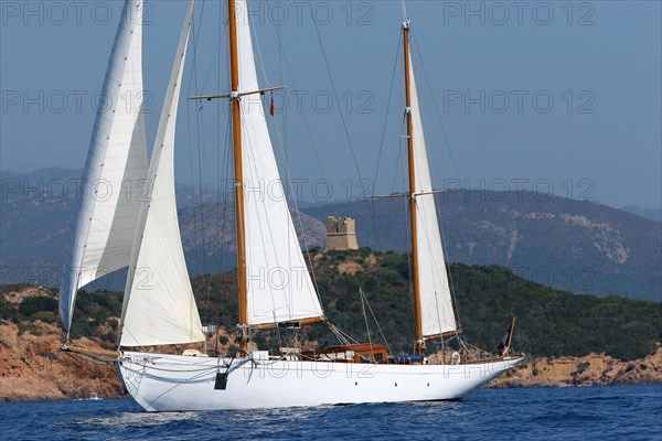 Ketch Milena, Corse du sud