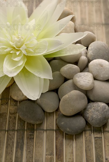 Stones and a lovely flower.