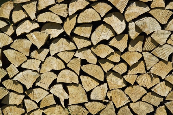 Ends of stacked split firewood.