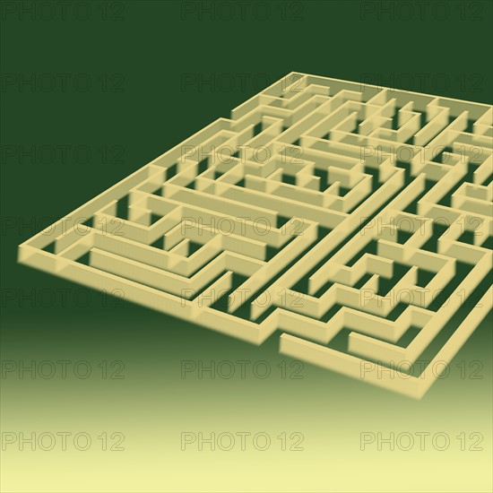 A maze.