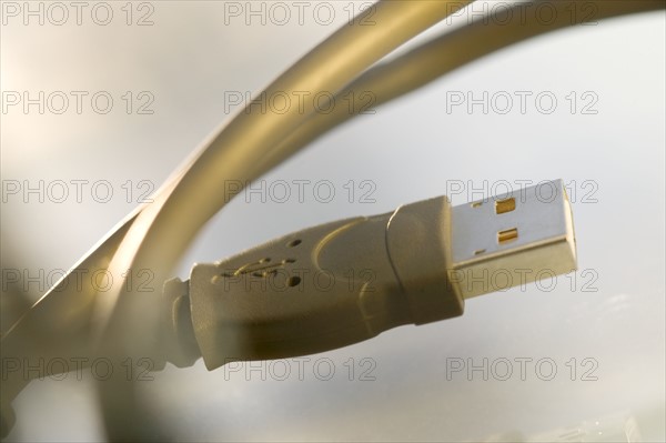 Closeup of a computer connection cable.