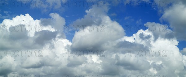 Puffy white clouds against a blue sky.