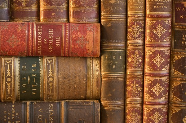 Closeup of beautifully bound books.