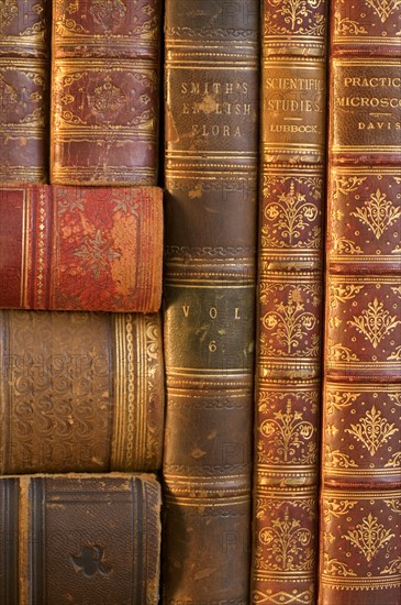 Closeup of beautifully bound books.