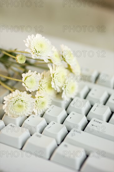 Still life of flowers on a computer keyboard.