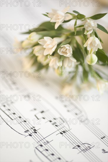 Still life of flowers and sheet music.