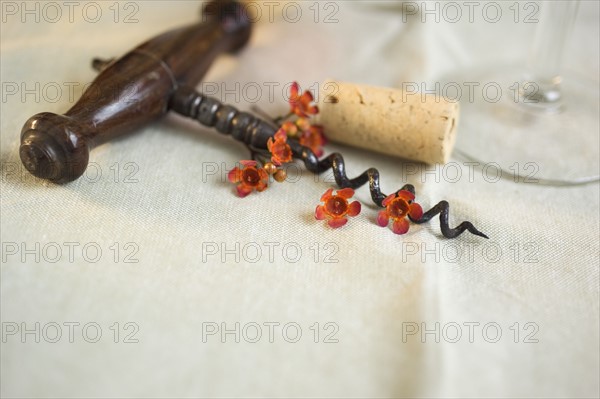 Still life of a wooden-handled corkscrew.