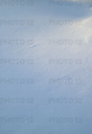 Closeup of fresh snow on ground.