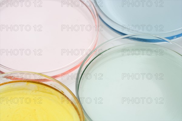 Closeup of petri dishes with liquid.
