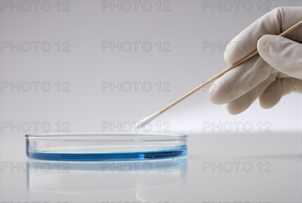 Hand with swab and petri dish.