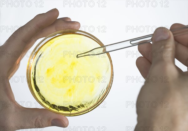 Hands with petri dish and eyedropper.