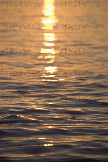 Sunlight reflected on water.