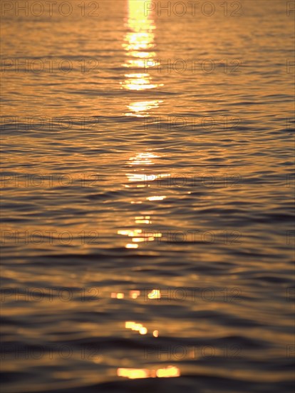 Sunlight reflected on water.